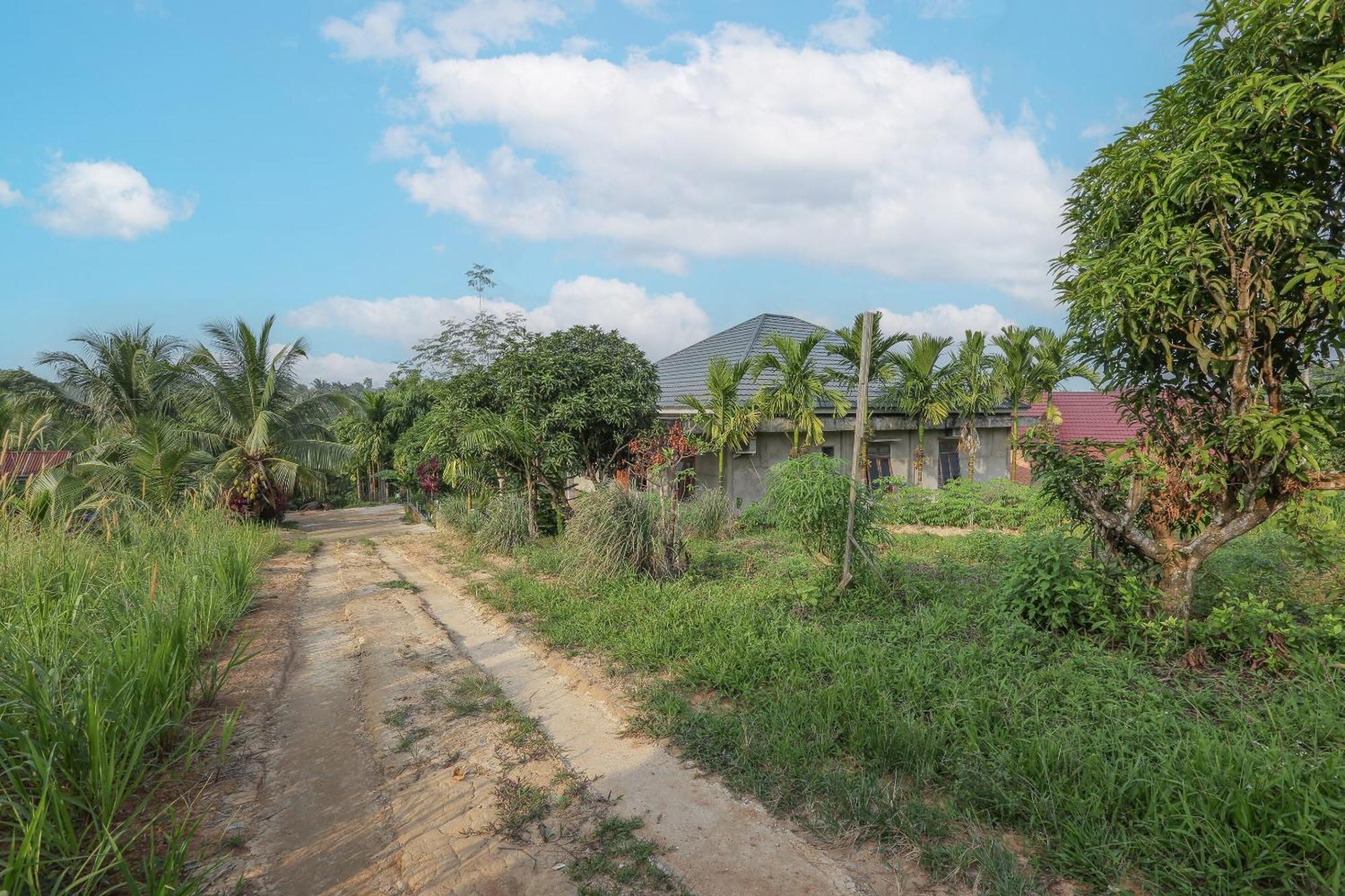 Oyo 92587 Homestay Romauli Kampung Radja جامبي المظهر الخارجي الصورة