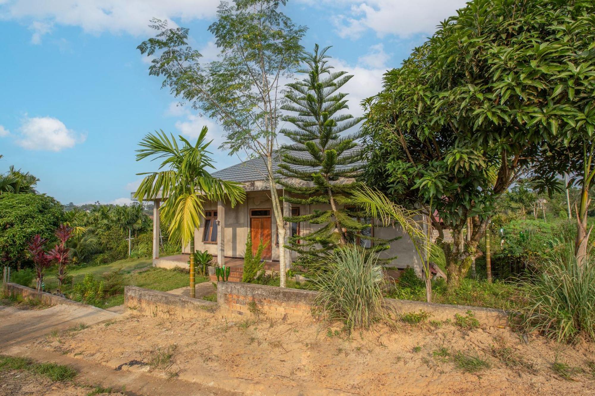Oyo 92587 Homestay Romauli Kampung Radja جامبي المظهر الخارجي الصورة